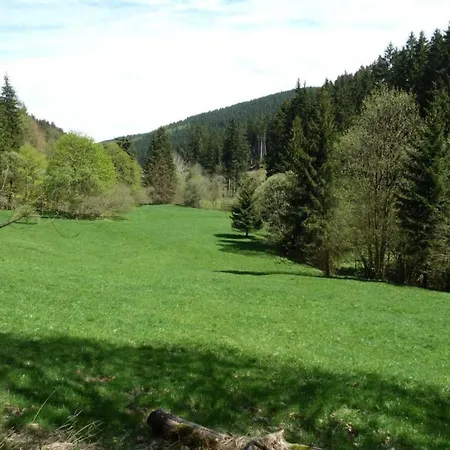 Charming Forest Escape For Two, Cleaning Included * Langewiesen