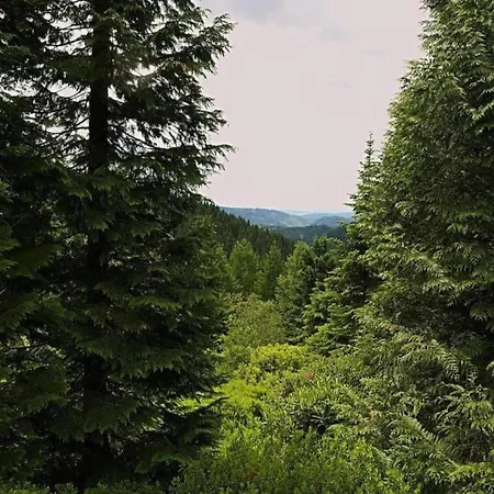 Charming Forest Escape For Two, Cleaning Included アパート